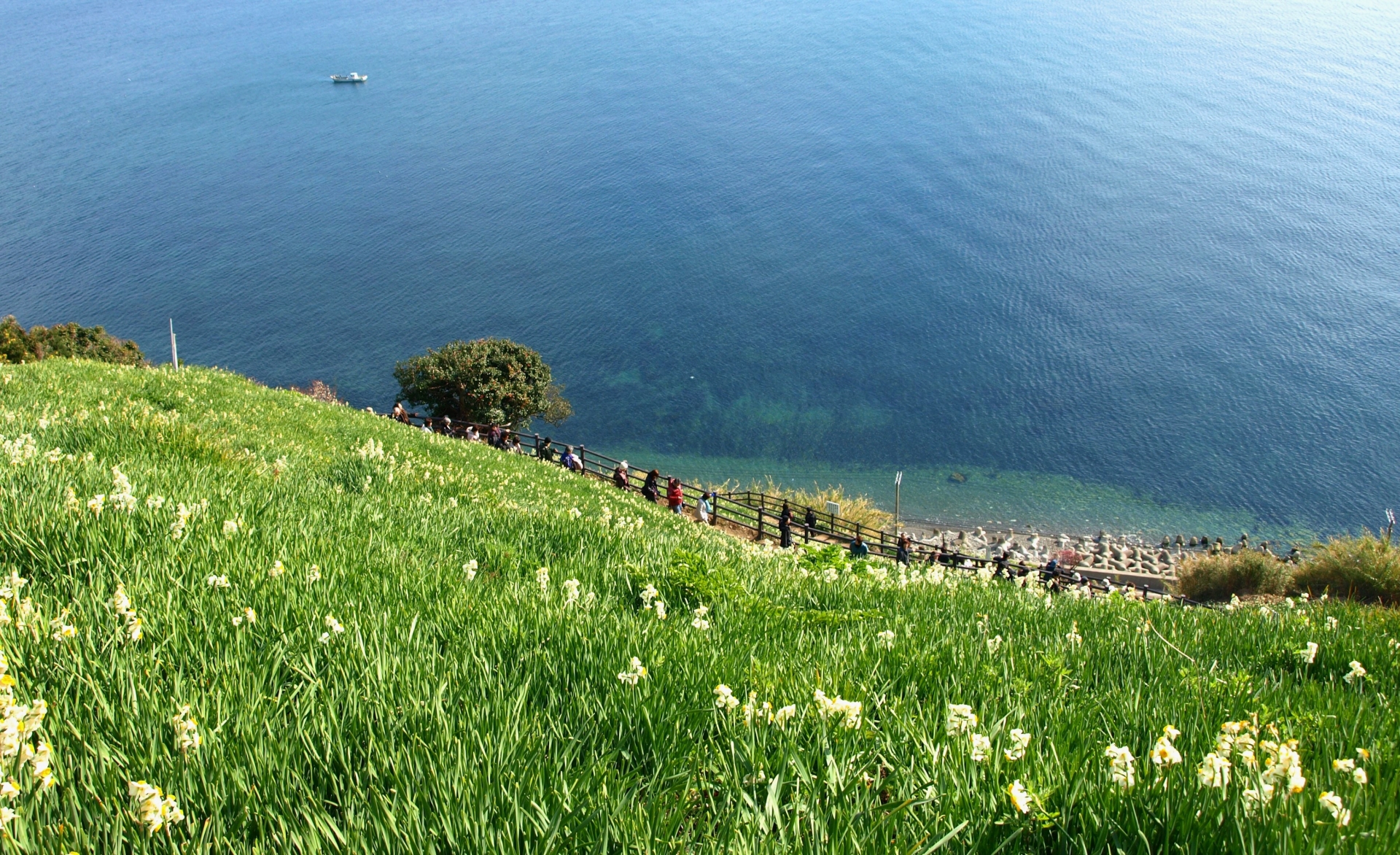 淡路島から瀬戸内海を望む